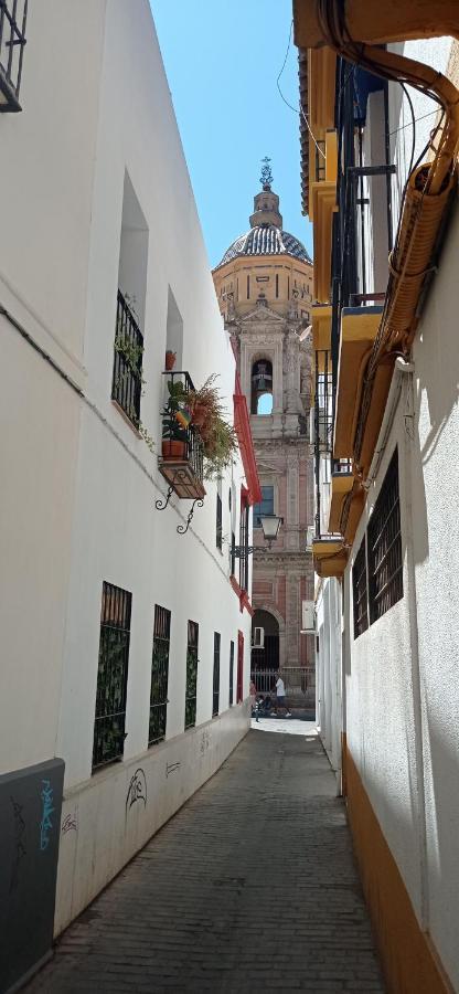Apartamento Casco Historico Con Atico. Appartement *